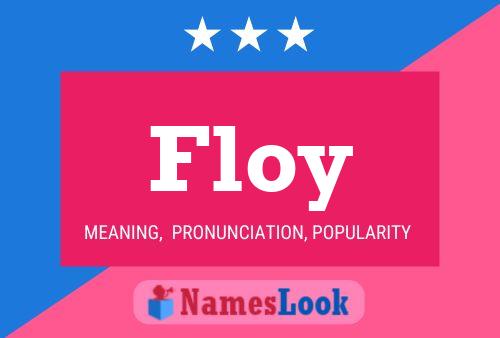 Постер имени Floy