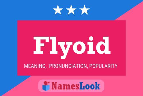 Постер имени Flyoid