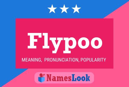 Постер имени Flypoo