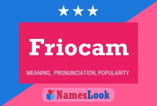 Постер имени Friocam