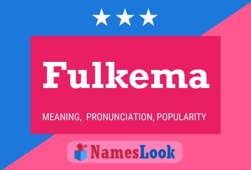 Постер имени Fulkema