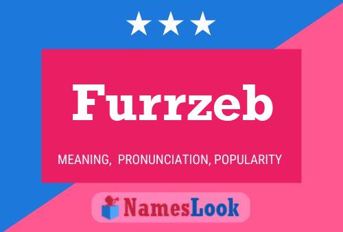 Постер имени Furrzeb