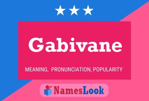 Постер имени Gabivane