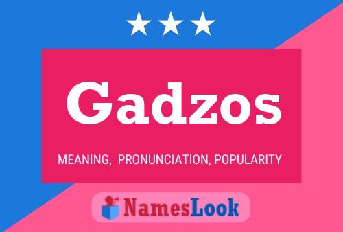 Постер имени Gadzos