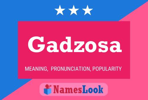 Постер имени Gadzosa