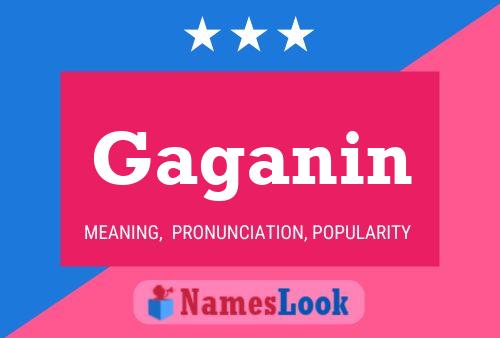 Постер имени Gaganin