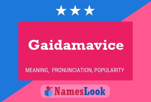 Постер имени Gaidamavice