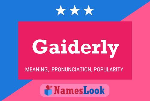 Постер имени Gaiderly