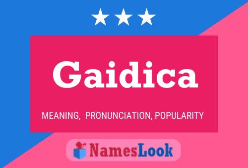 Постер имени Gaidica