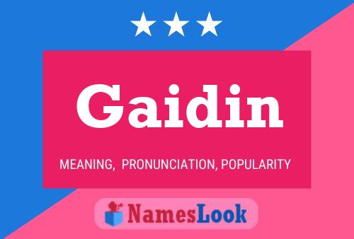 Постер имени Gaidin