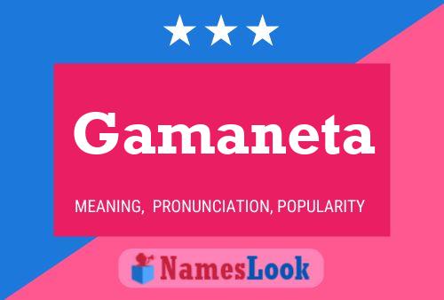 Постер имени Gamaneta