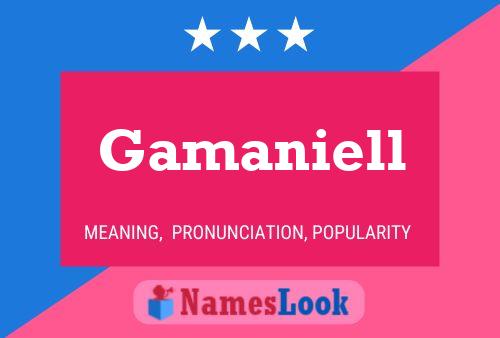 Постер имени Gamaniell