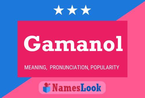 Постер имени Gamanol