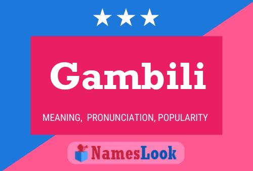 Постер имени Gambili