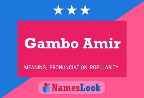 Постер имени Gambo Amir