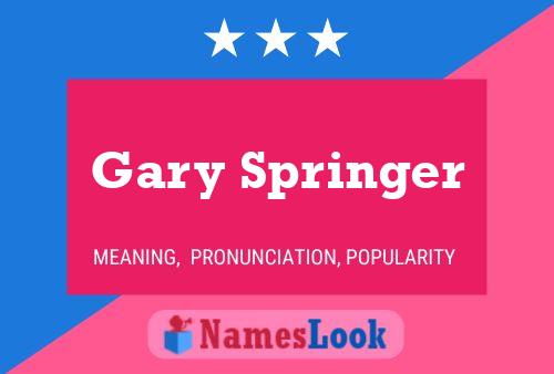 Постер имени Gary Springer