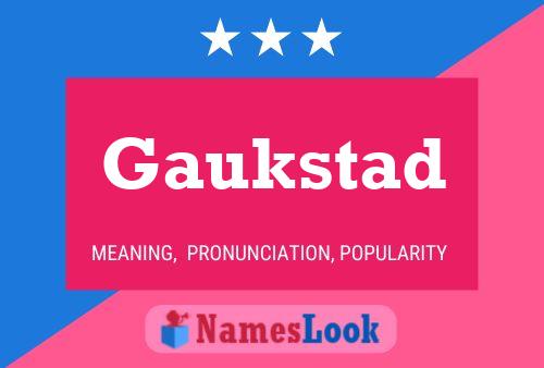 Постер имени Gaukstad