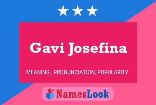 Постер имени Gavi Josefina