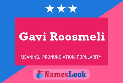 Постер имени Gavi Roosmeli