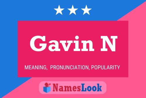 Постер имени Gavin N