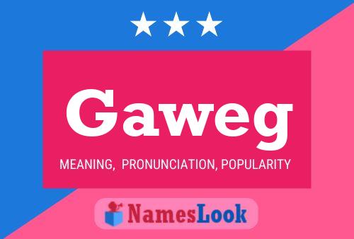 Постер имени Gaweg