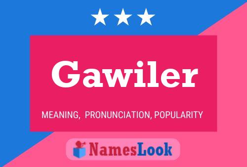 Постер имени Gawiler