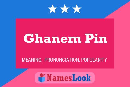 Постер имени Ghanem Pin