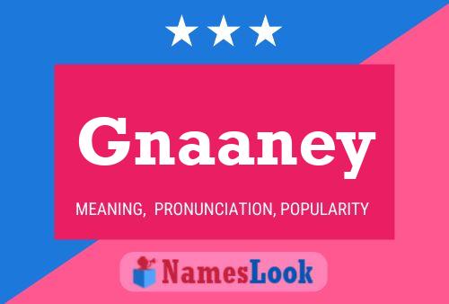 Постер имени Gnaaney