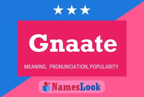 Постер имени Gnaate