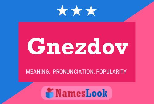 Постер имени Gnezdov