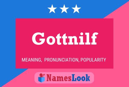 Постер имени Gottnilf