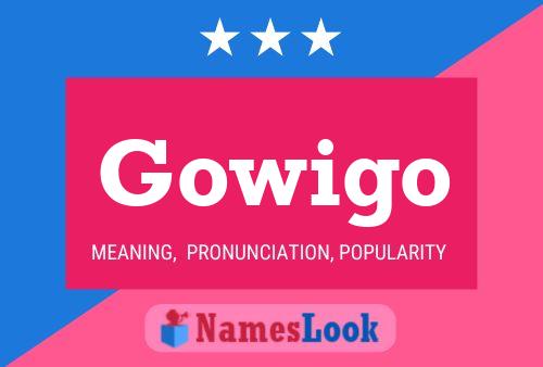 Постер имени Gowigo