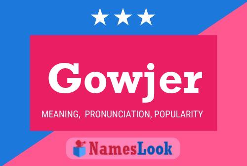 Постер имени Gowjer