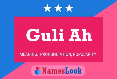 Постер имени Guli Ah