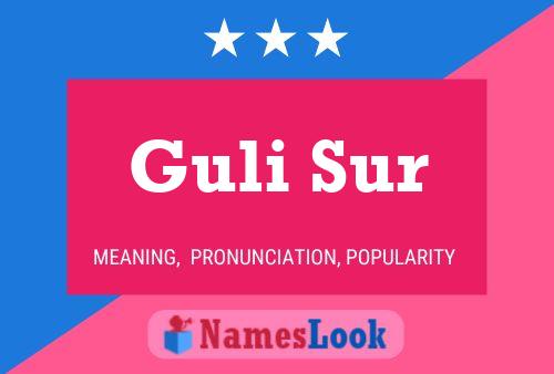 Постер имени Guli Sur