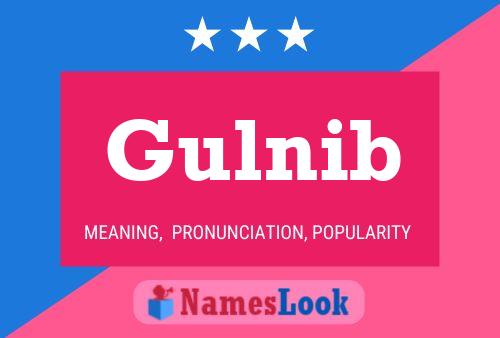 Постер имени Gulnib