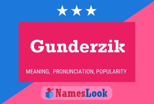 Постер имени Gunderzik