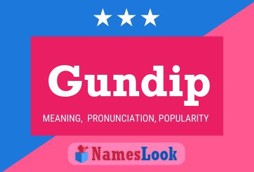 Постер имени Gundip