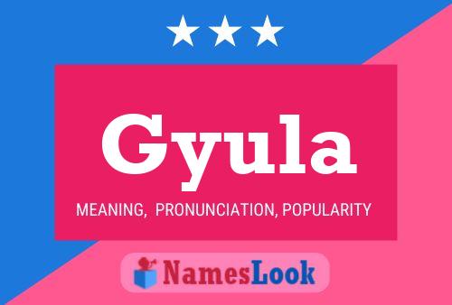 Постер имени Gyula