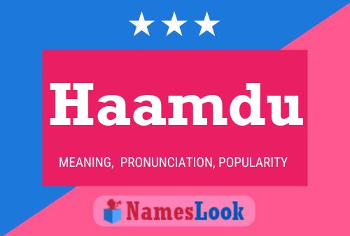 Постер имени Haamdu