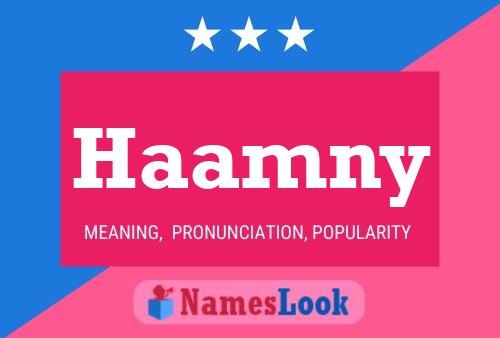 Постер имени Haamny