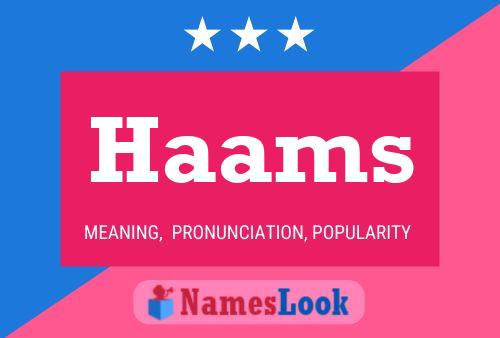 Постер имени Haams