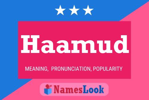 Постер имени Haamud