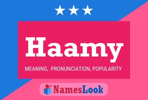 Постер имени Haamy