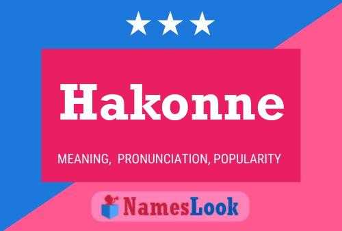 Постер имени Hakonne