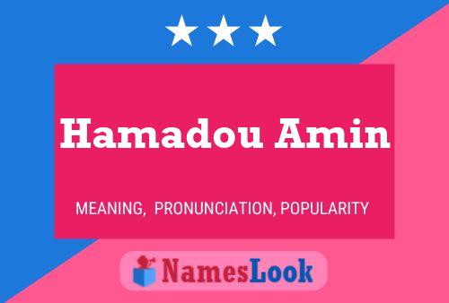 Постер имени Hamadou Amin