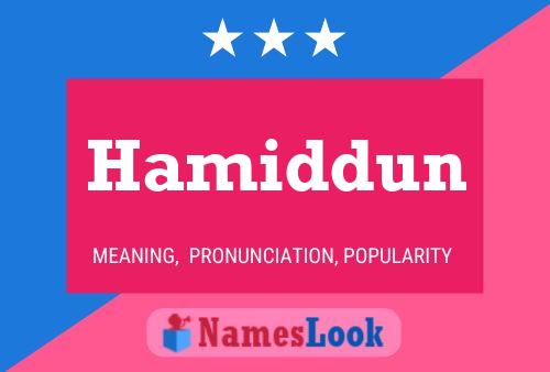 Постер имени Hamiddun