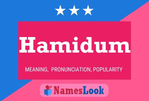 Постер имени Hamidum