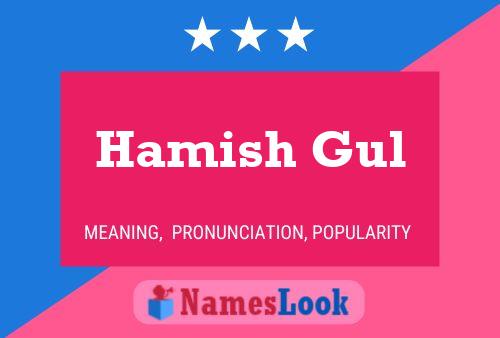 Постер имени Hamish Gul