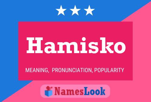 Постер имени Hamisko